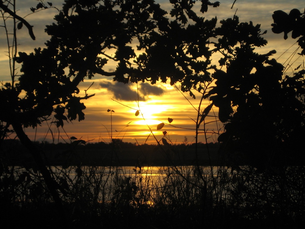 Photograph of Sunset over the creek 1.