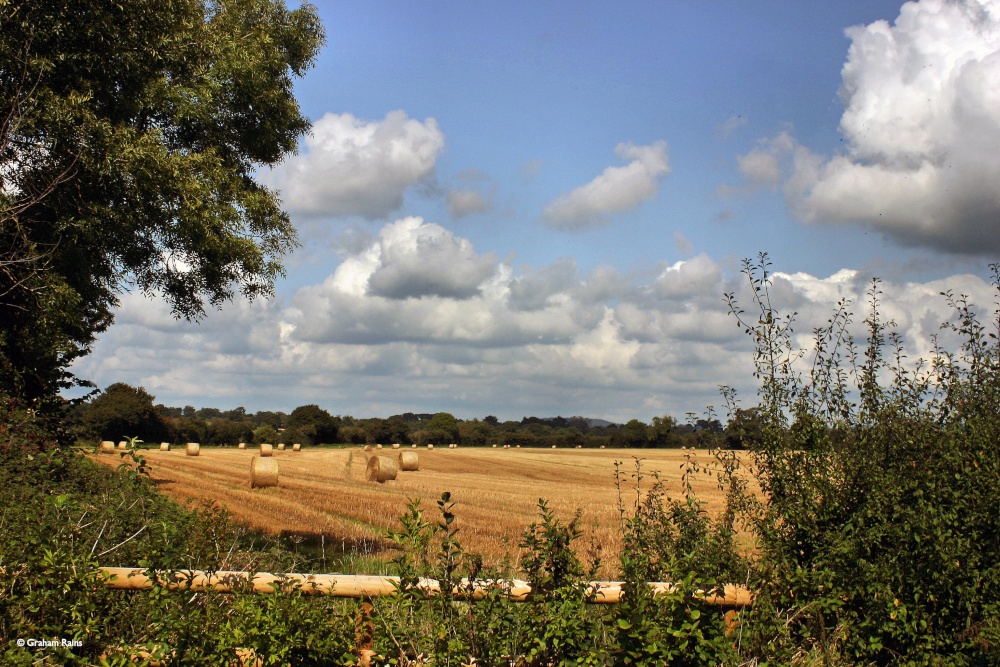 Shillingstone in Dorset