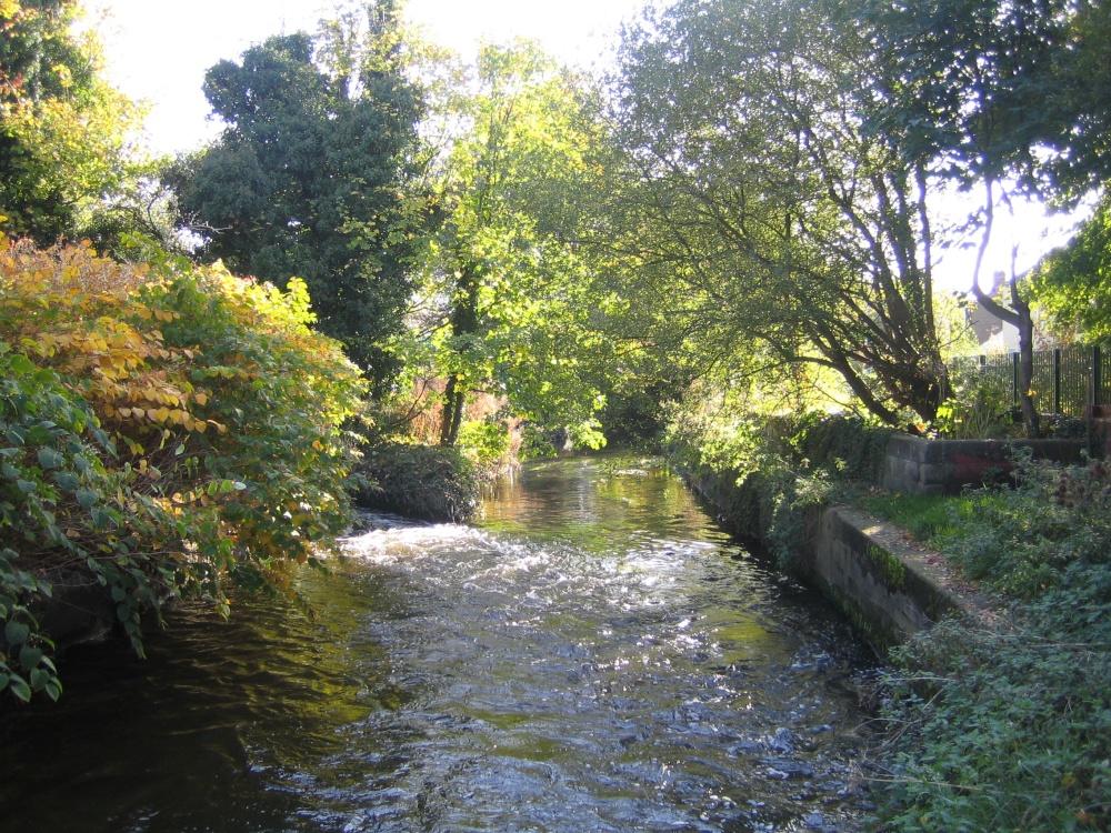 Photograph of The River Wandle