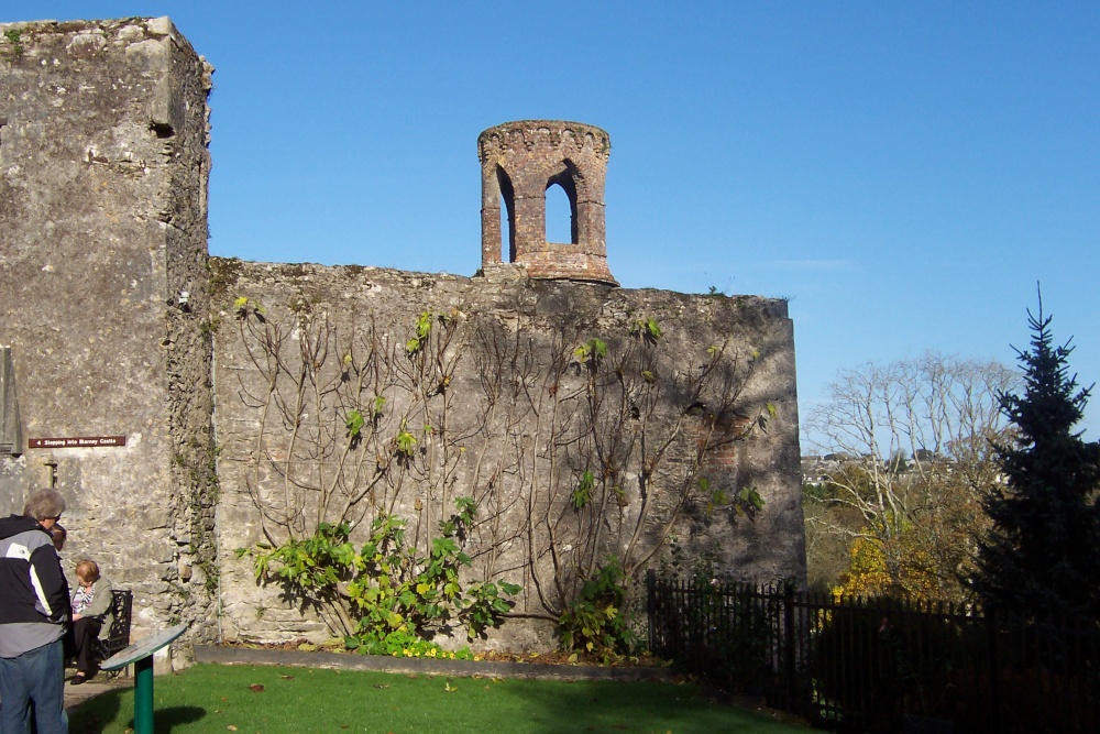Blarney Castle Feature