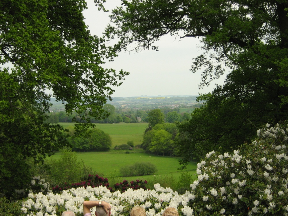 View from seat at viewpoint
