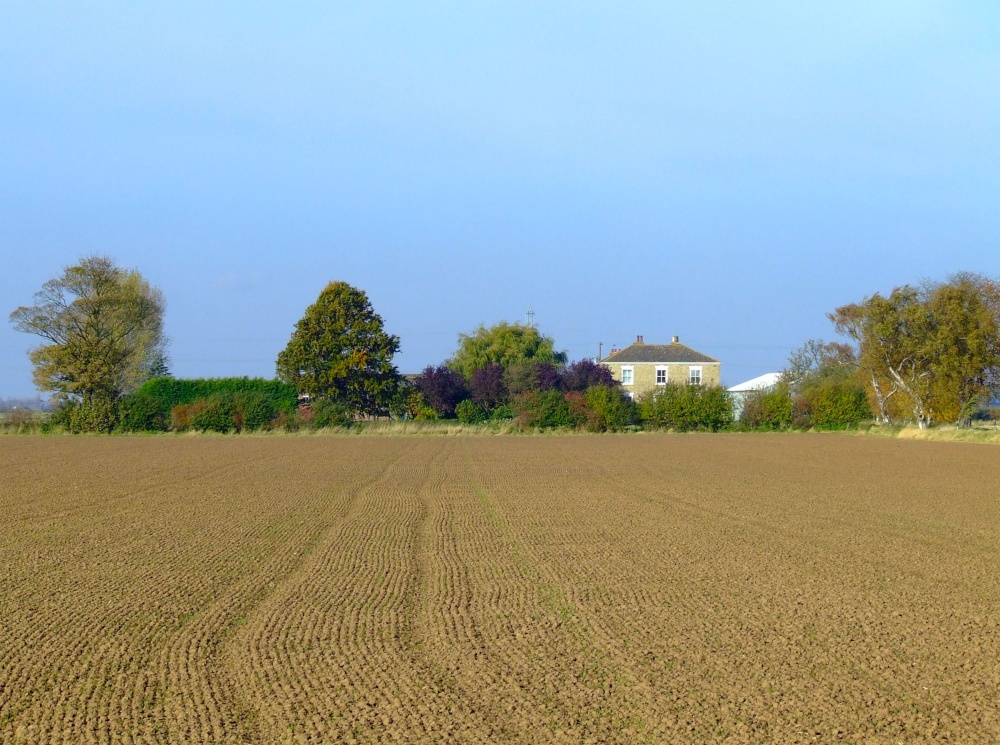 A Faxfleet farmhouse