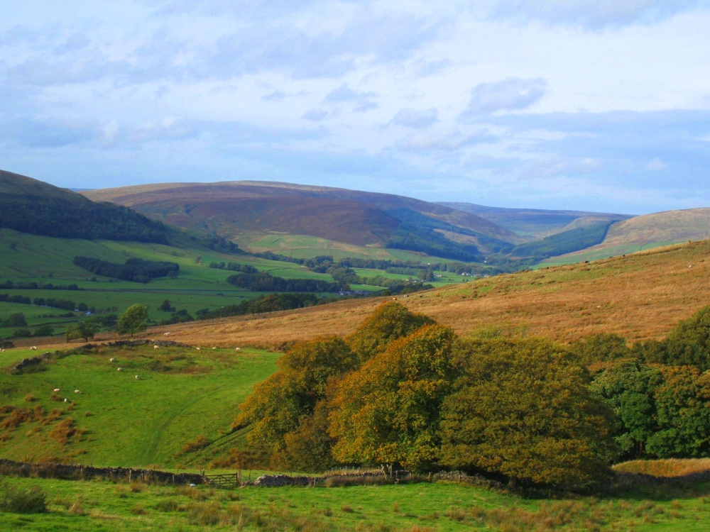Photograph of Bowland Forest