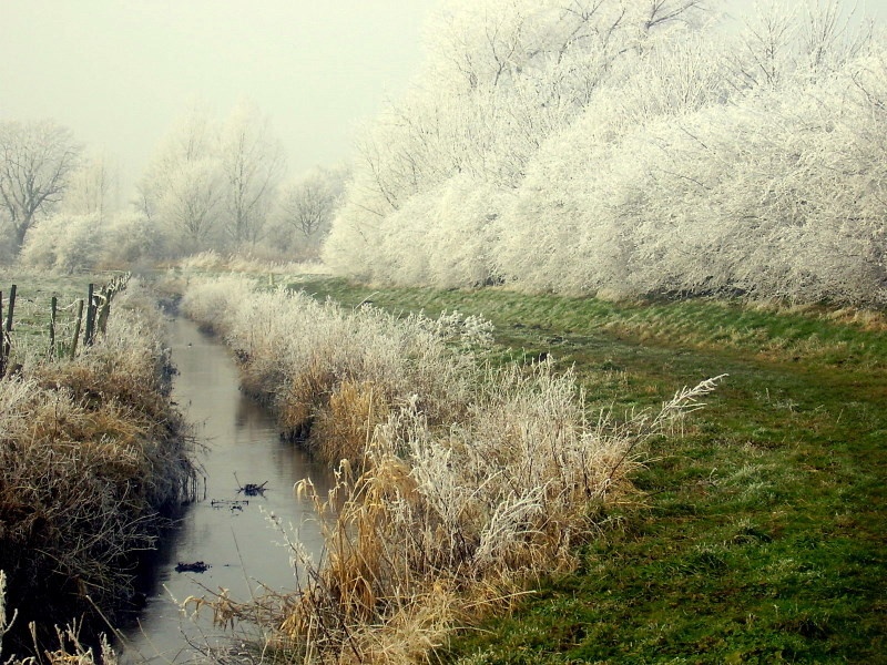 Photo of Remember Winter?