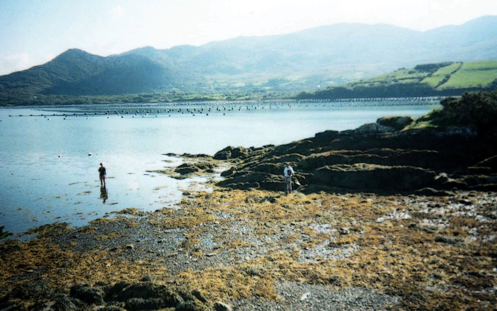 Views of County Cork