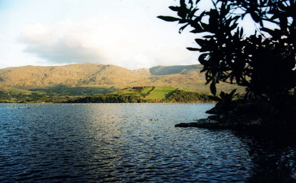 Views of County Cork