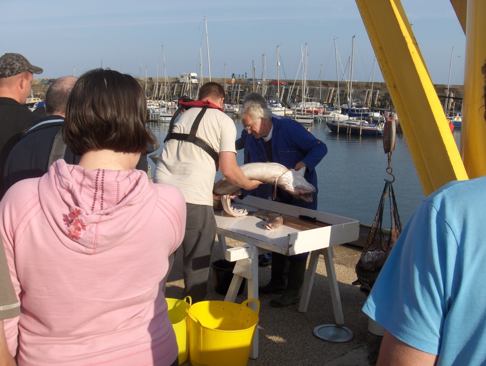 The one that DIDN'T get away........ Scarborough harbour