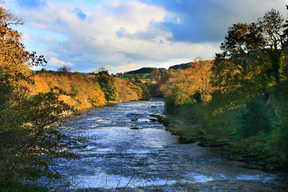 River Ure in Autumn