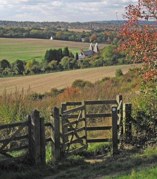 The Darland Valley, North Kent