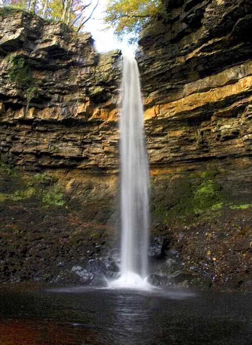 Hardraw Force