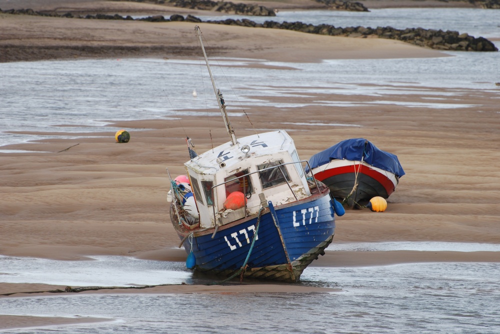 Photograph of The Harbour