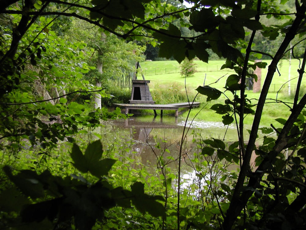 Near Blackboys Village