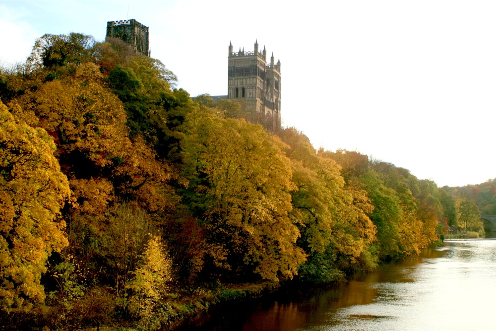 Autumn colours along the riverside.