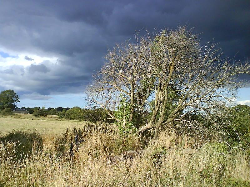 Photograph of Stormy weather coming