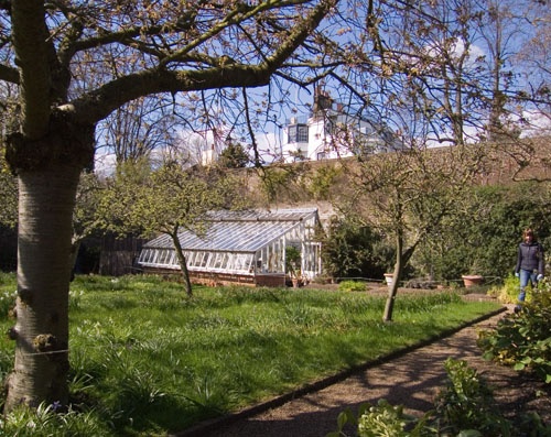The Orchard at Fenton House, Hampstead photo by John Ware
