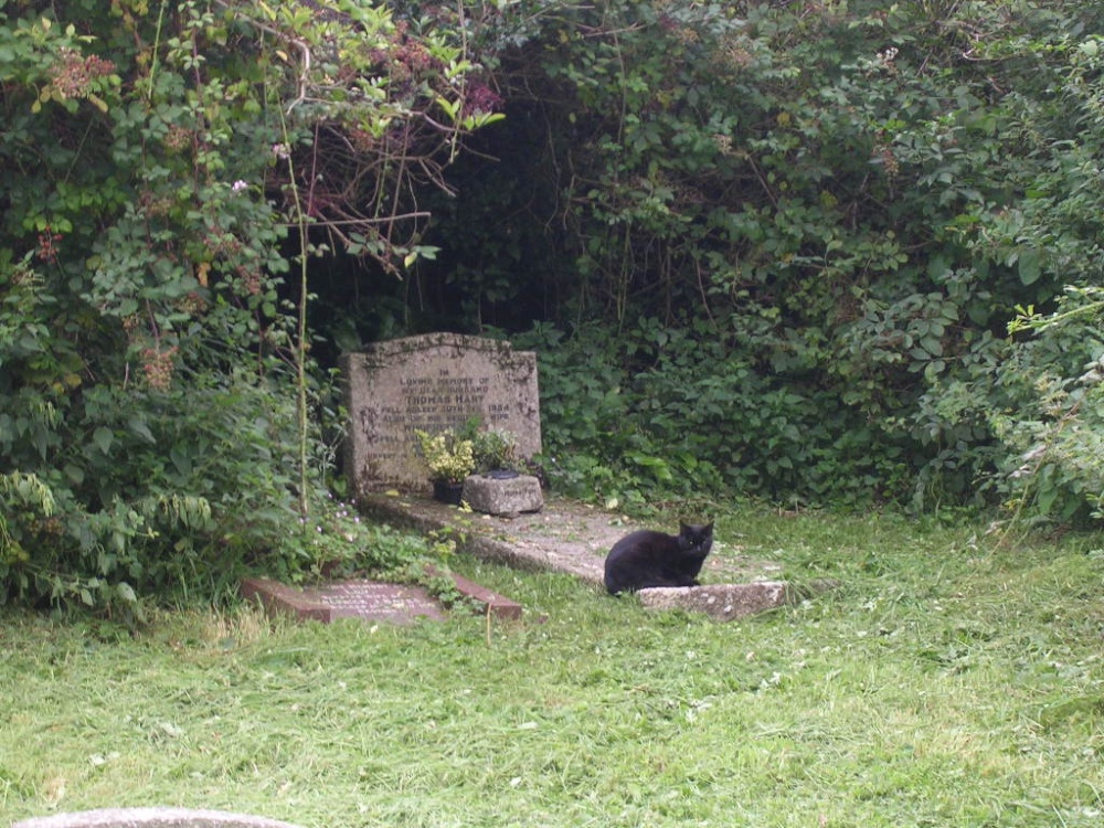 Photograph of St. Andrews Cemetery