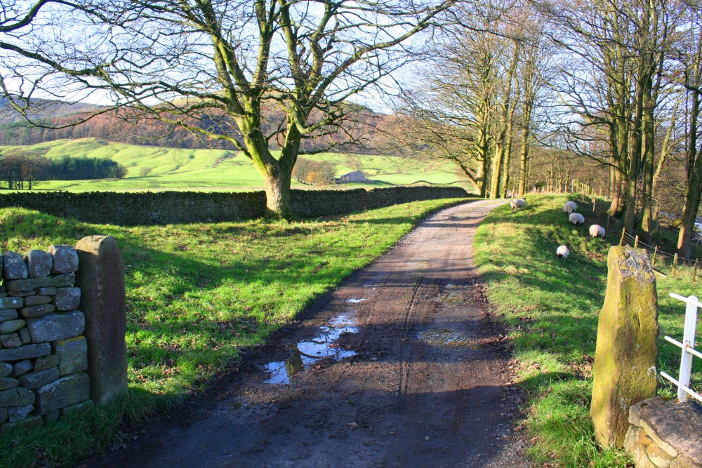 Whitewell