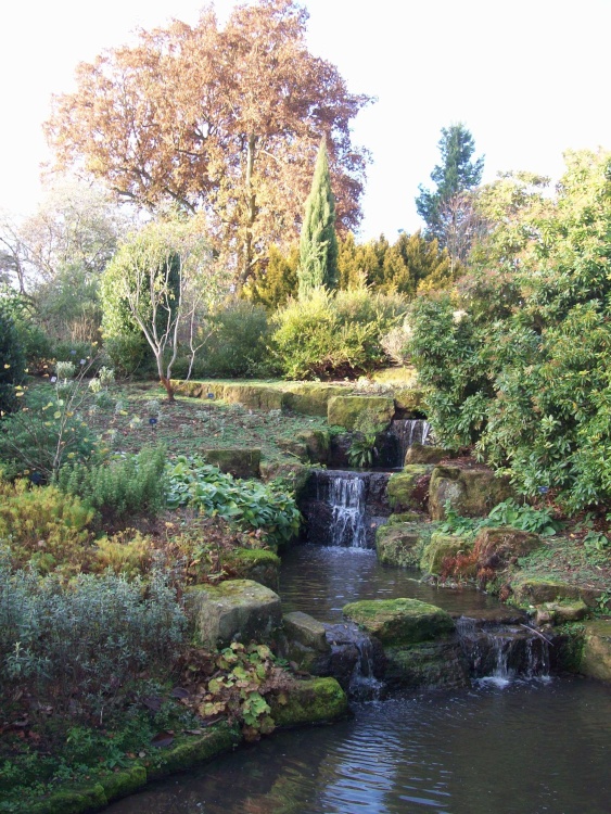 Water gardens, Wakehurst Place