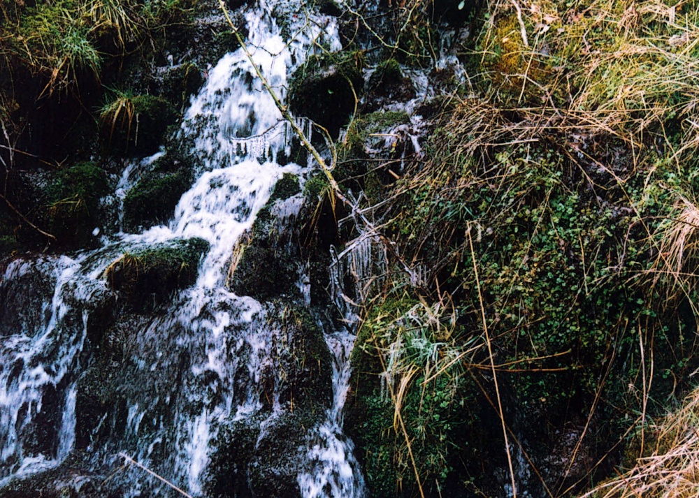A walk through Mynydd Du Forest near Abergavenny