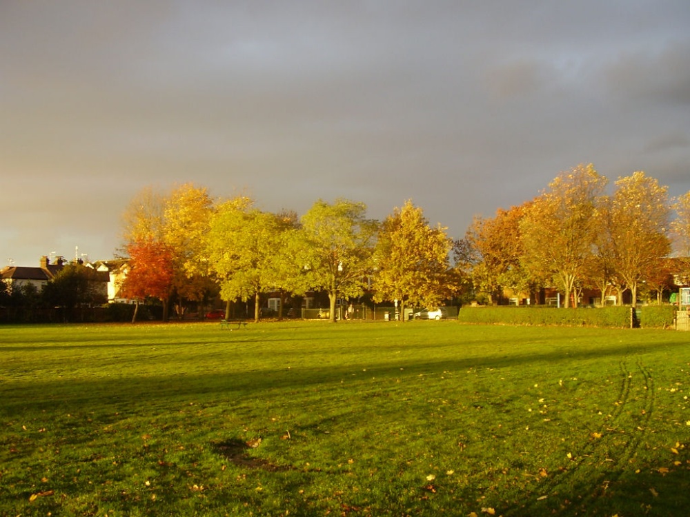 Photograph of Dovecote Lane Park