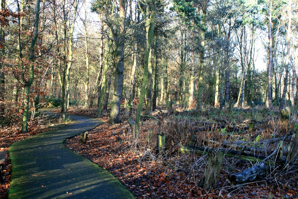 Woodland Walk.
