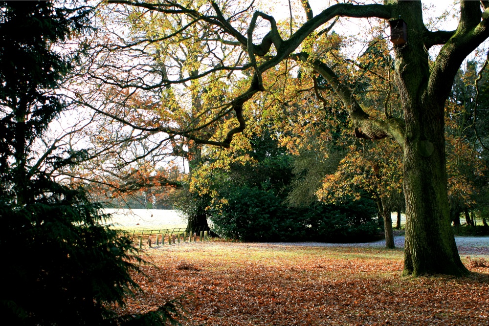 A frosty morning at Nidd