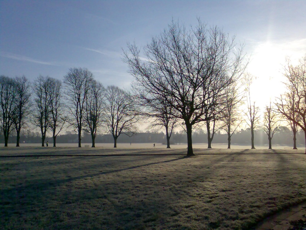 Early morning frost in the park