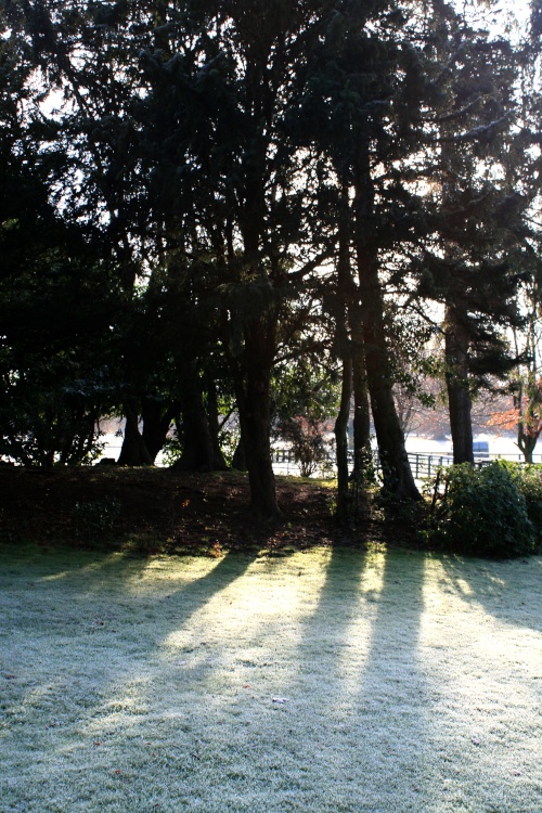 Frosty morning at Nidd.