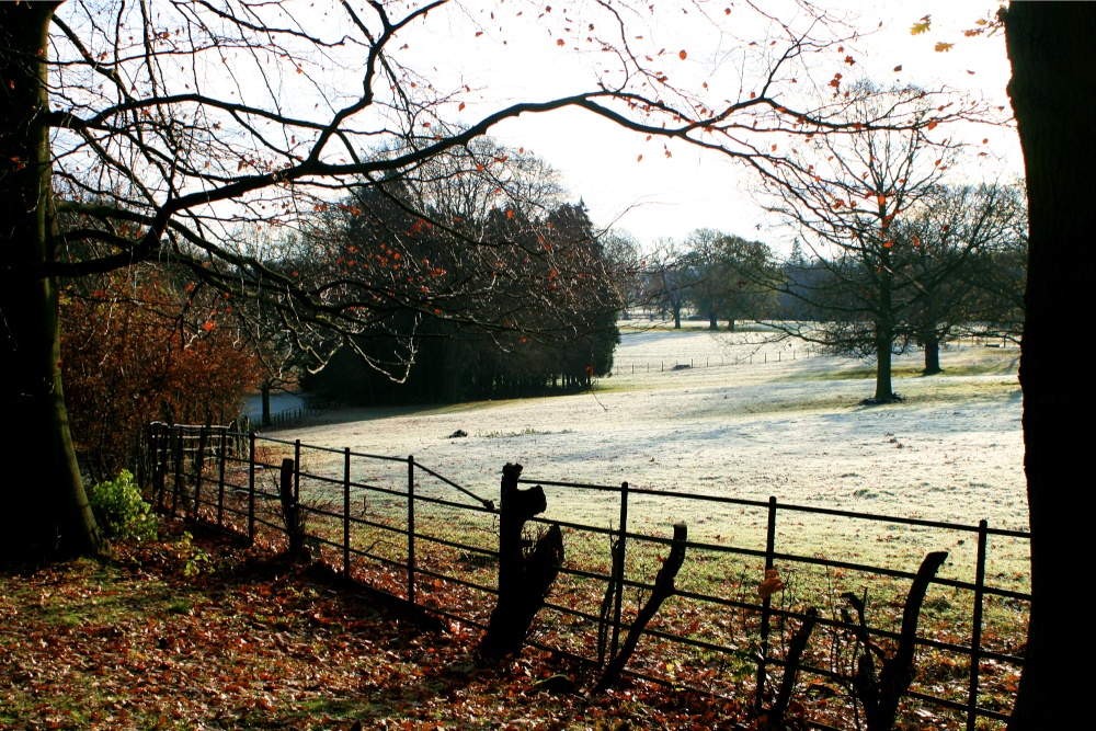 Photograph of Frosty morning at Nidd.