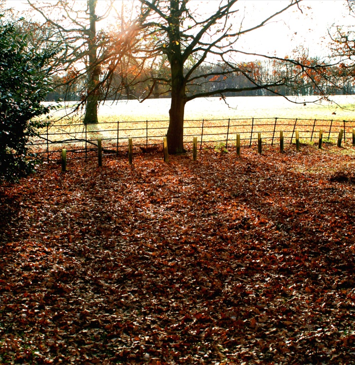 Frosty morning at Nidd.