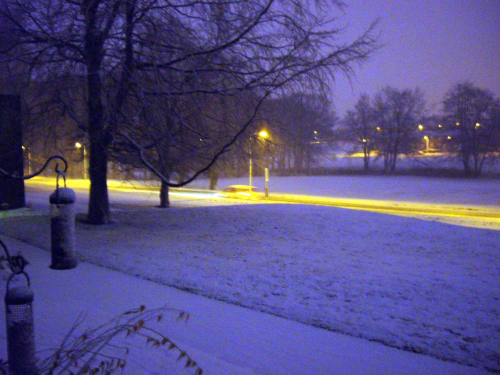 Photograph of View from my window