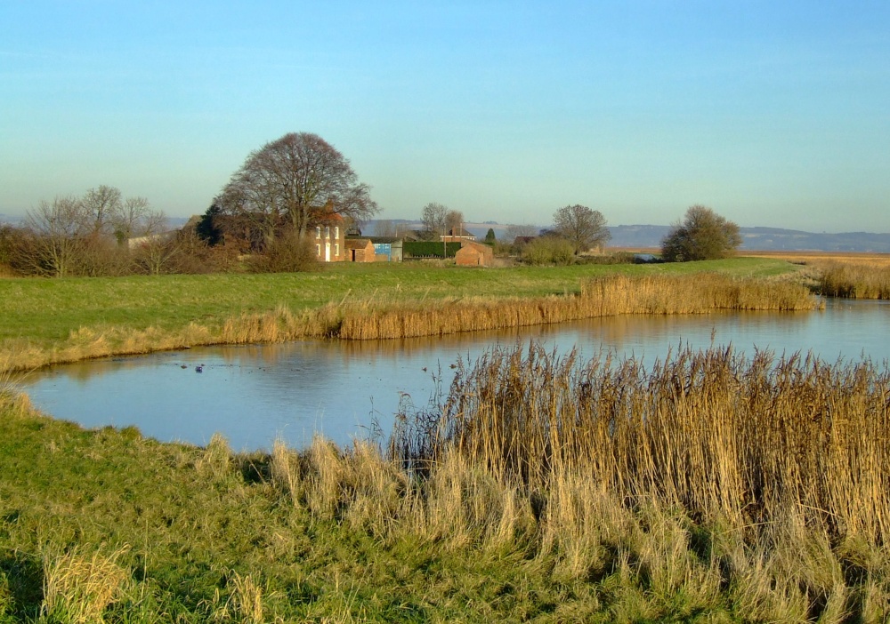 The first pond at Faxfleet