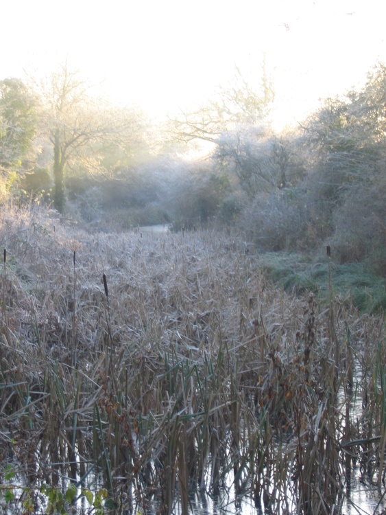 Early morning Frost - Basingstoke Canal