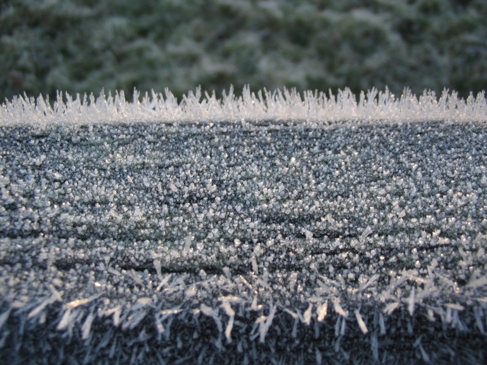 Early morning frost - top of five bar gate