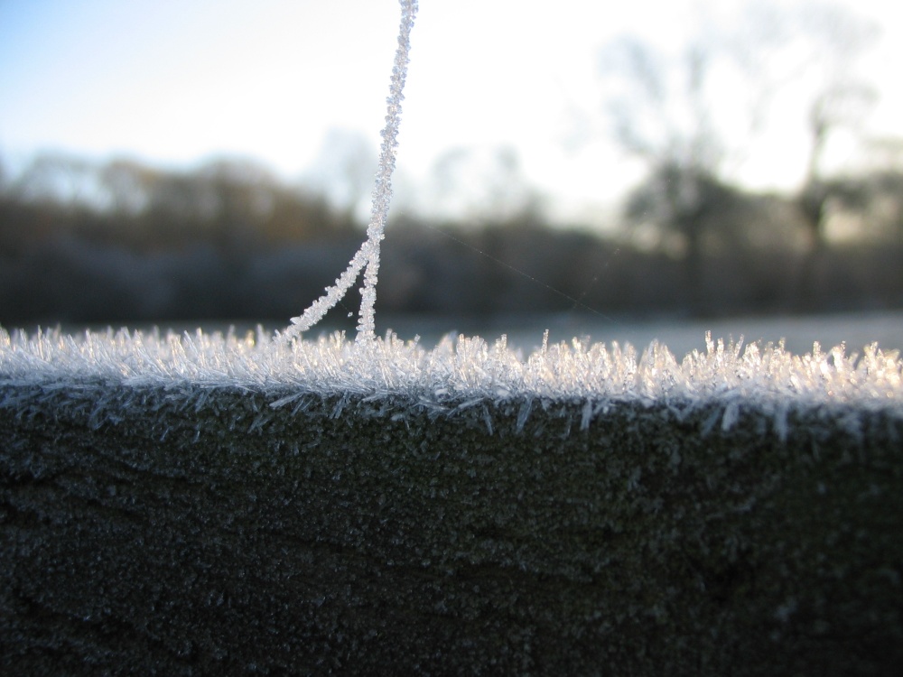 Frosted web strand