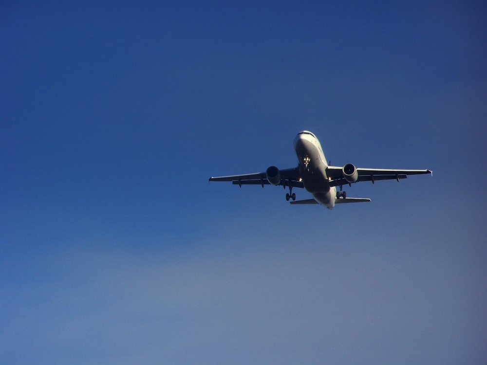 Photograph of Landing