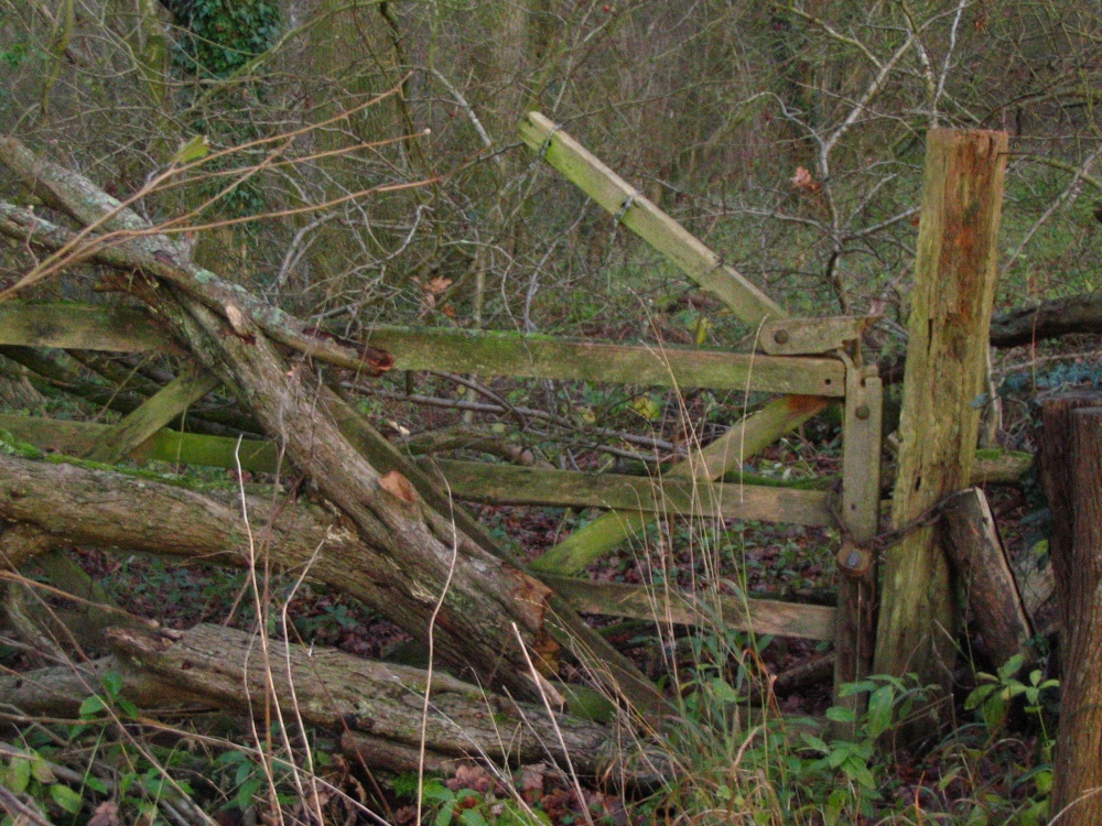 Around Up Nately - a little used gate!