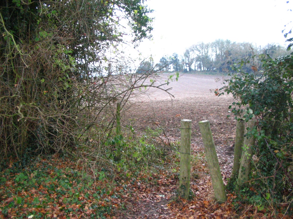 Greywell, near Up Nately during an early morning walk