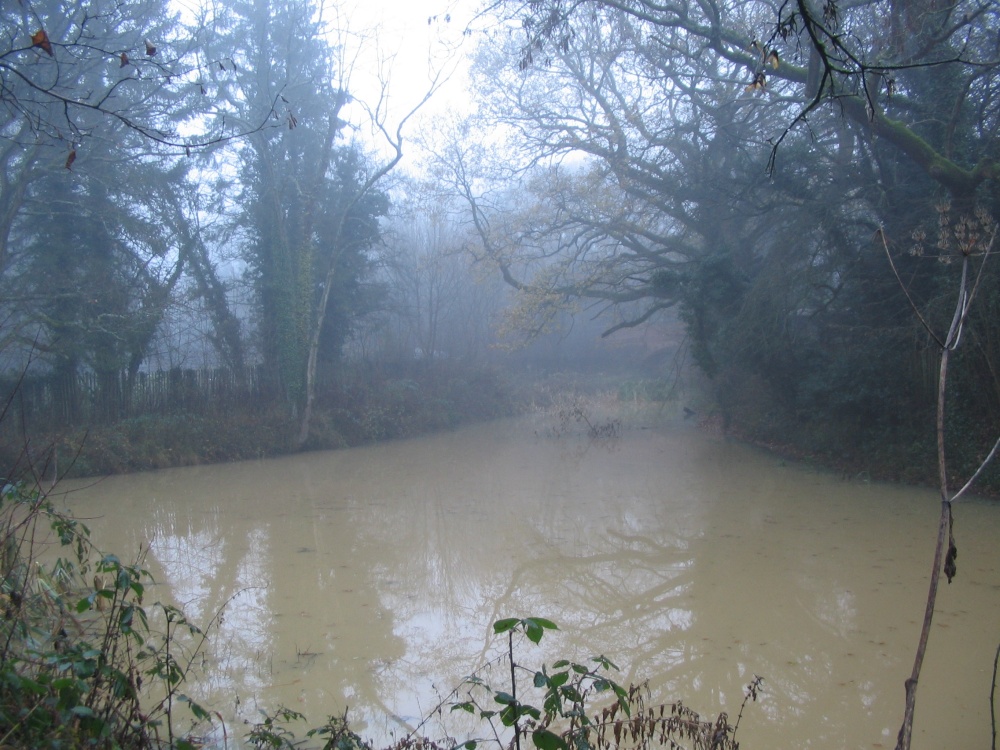 Foggy morning - 14.12.08