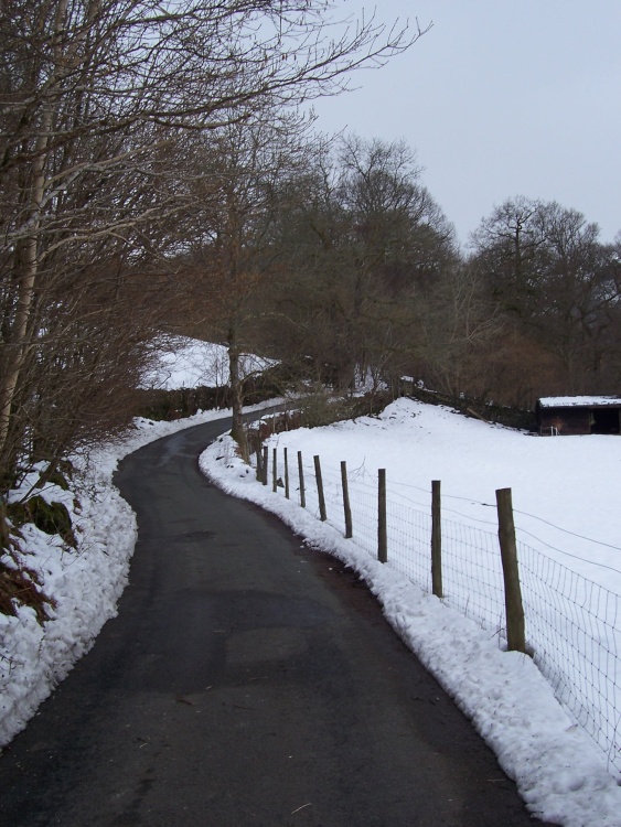 Under Loughrigg Ambleside