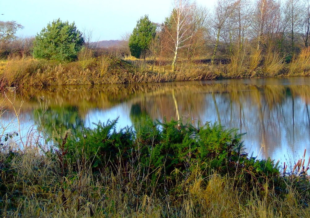 One of the wetlands many ponds