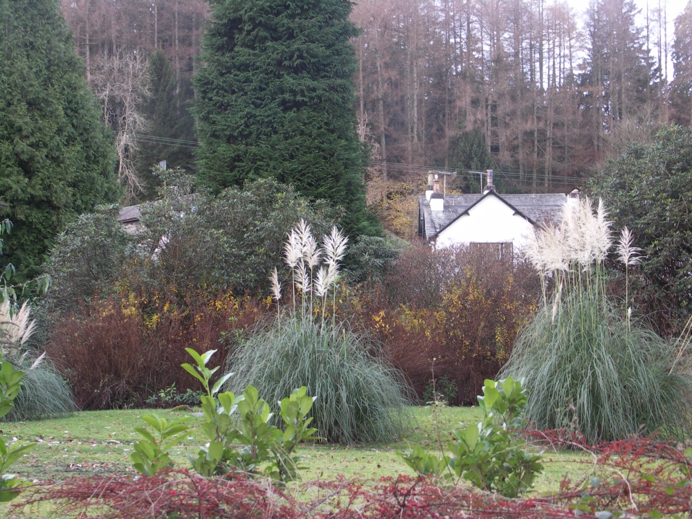 Garden Under Loughrigg Ambleside