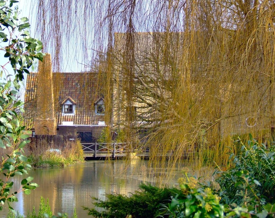 Photograph of Back view of the mill house