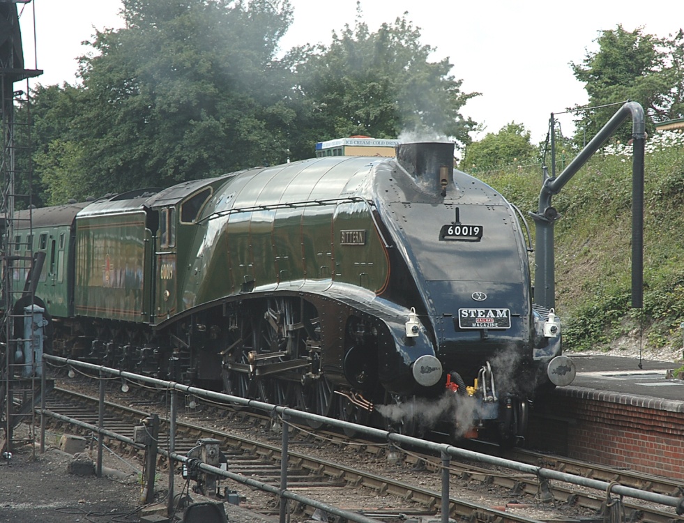 Photograph of Bittern
