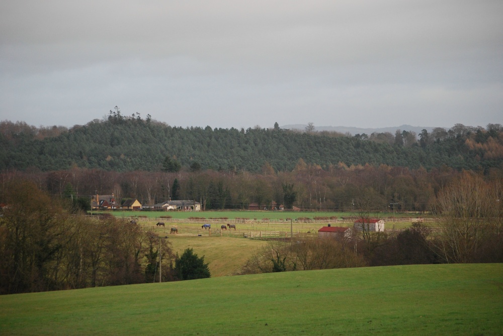 View from Bodenham Arboretum