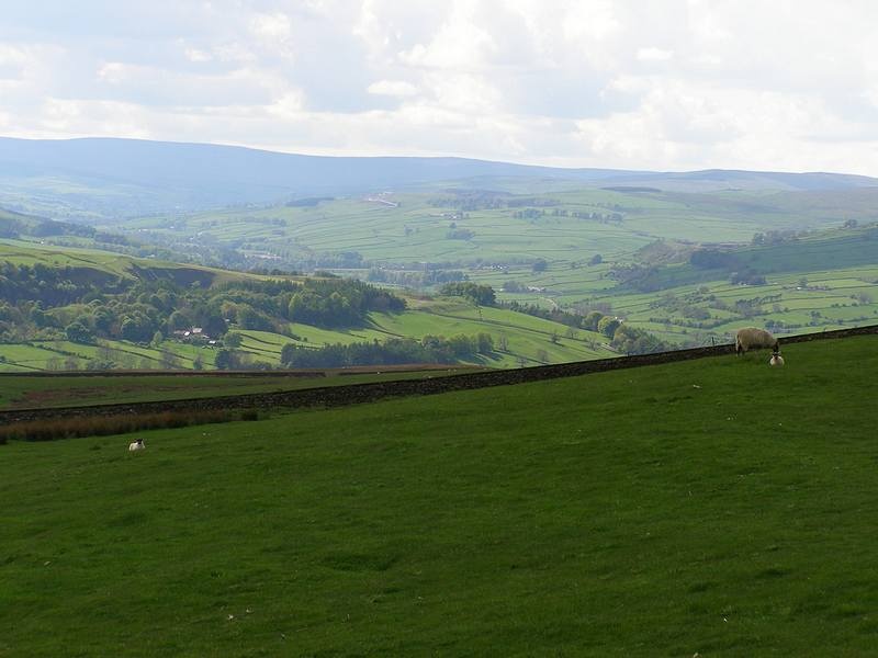 Wear Dale looking towards Stanhope