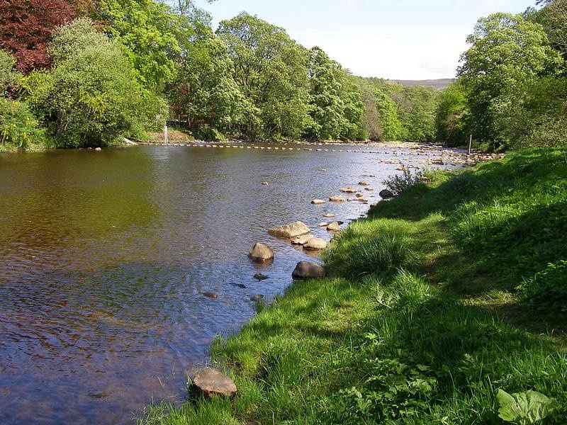 Stanhope stepping stones