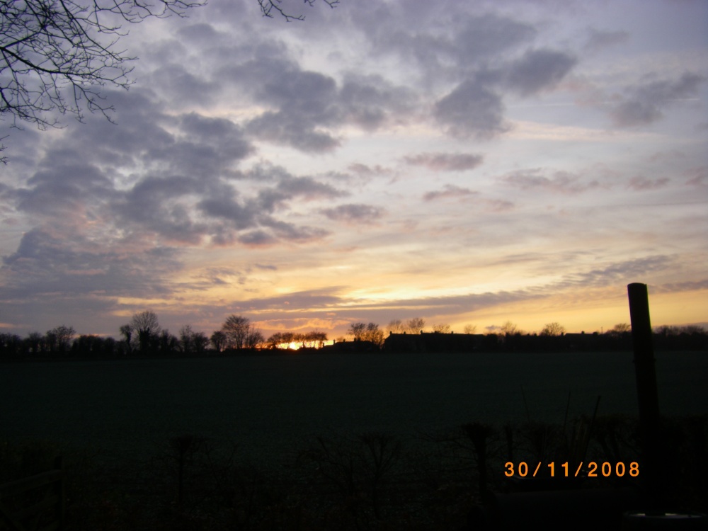 Tropical  Butterfly House