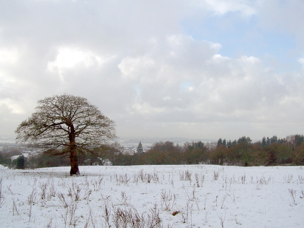 Snowy view on the way up to Winter Hill