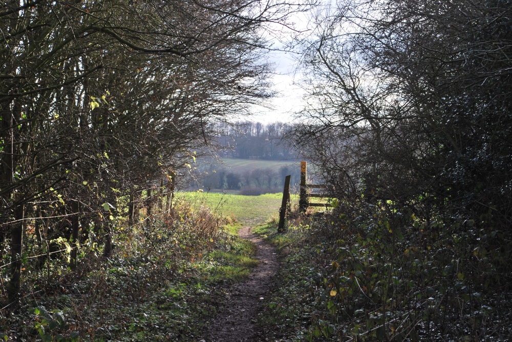 Photograph of Footpath between Prestwold and Burton on the Wolds